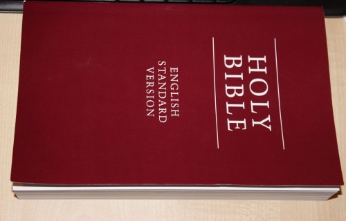 HOLY BIBLE (ENGLISH STANDARD VERSION) 