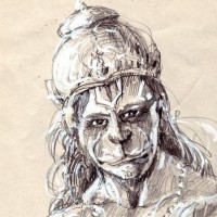 VeerpalHansaDevgun74