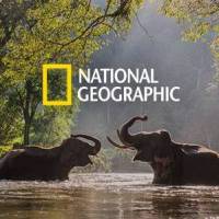 national-geographic