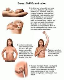 breast sucking - breast self examination
