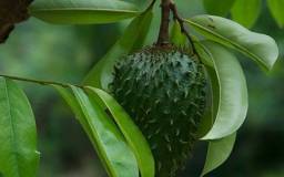 72294811_2714696138564501_5925479354216742912_n